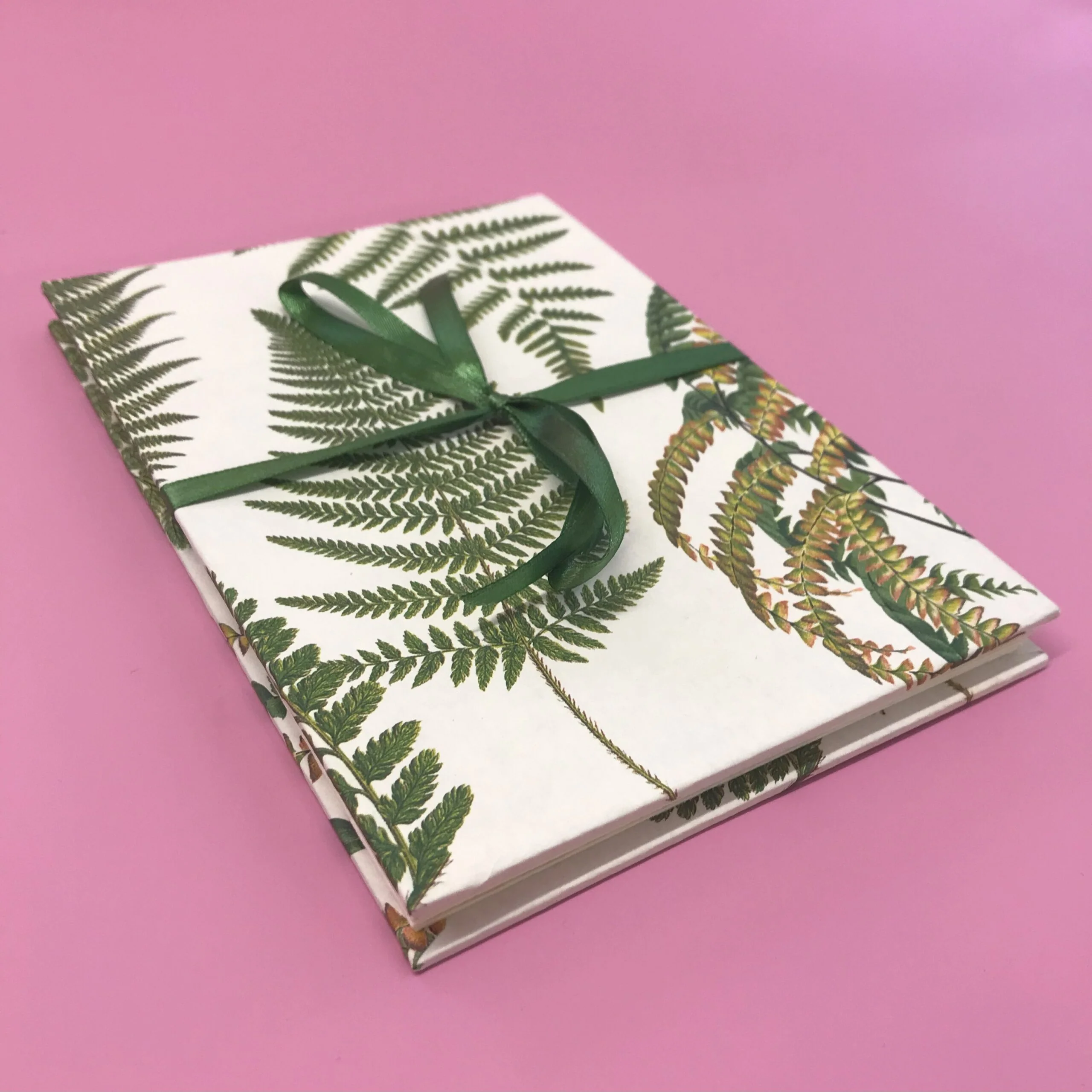 Concertina Album - Image 3